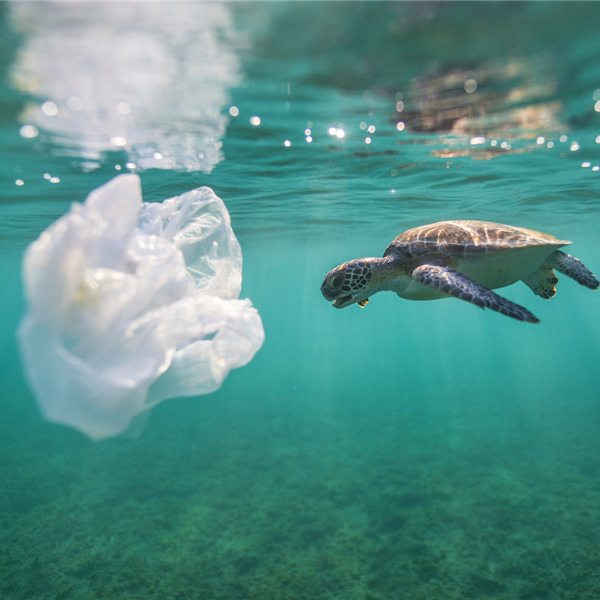 Incontro-dibattito: Un mare di plastica: come uscirne?