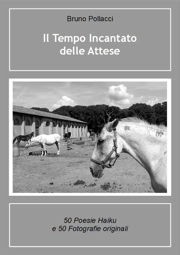 "Il tempo incantato delle attese" di Bruno Pollacci