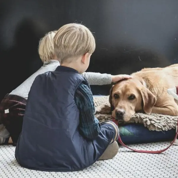 I bambini che crescono con animali domestici hanno meno allergie