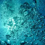 Sperimentando 2025 - H2O una molecola per la vita